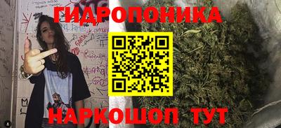 кокс Краснодар
