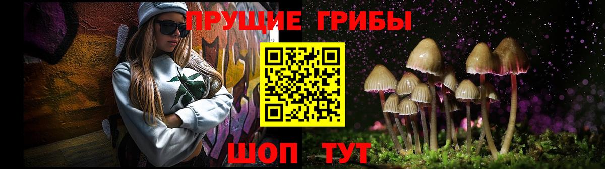 Галлюциногенные грибы MAGIC MUSHROOMS Елабуга