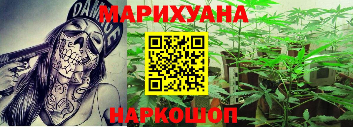 Бошки Шишки планчик Елабуга
